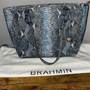 Brahmin Purse